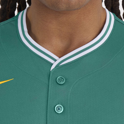 Boston Red Sox David Ortiz Nike Green 2025 City Connect Limited Retired Player Jersey